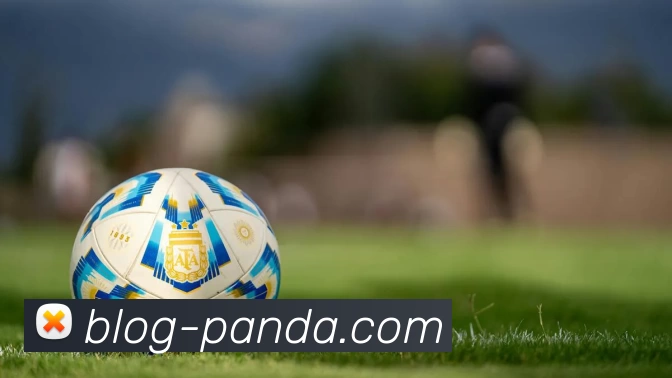 熊猫体育平台生态图