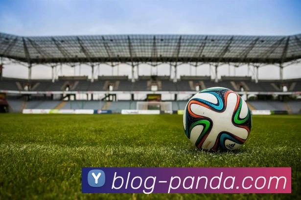 熊猫体育全站App