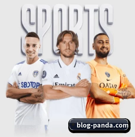 熊猫体育的方向 | PandaSports